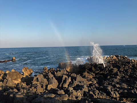 潮吹き岩 公式 気仙沼市階上観光ガイド